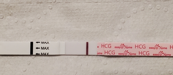 Easy-At-Home Pregnancy Test, 7 Days Post Ovulation