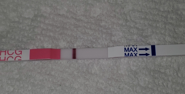 Easy-At-Home Pregnancy Test, 7 Days Post Ovulation