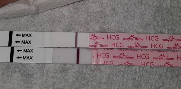 Home Pregnancy Test, 7 Days Post Ovulation