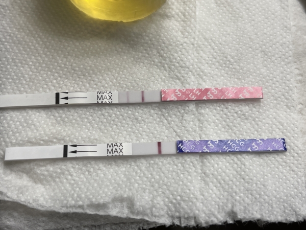 Home Pregnancy Test