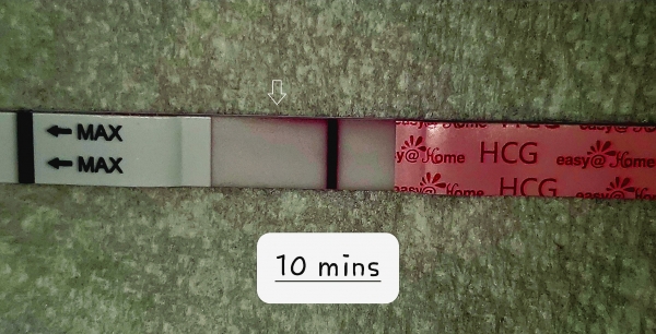 Home Pregnancy Test, 8 Days Post Ovulation