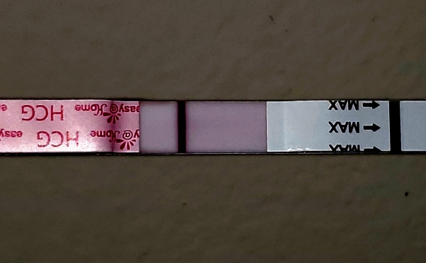 Easy-At-Home Pregnancy Test, 10 Days Post Ovulation