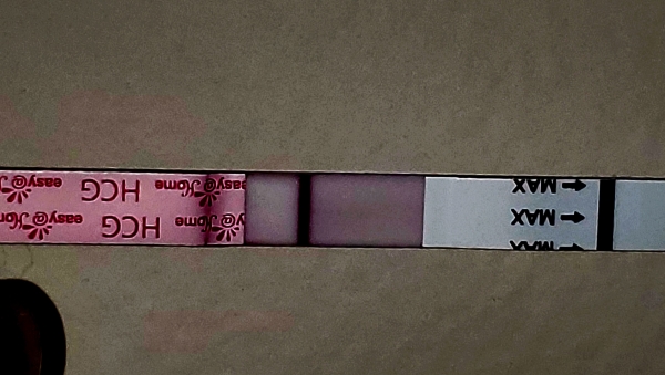 Easy-At-Home Pregnancy Test, 10 Days Post Ovulation