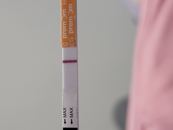 Home Pregnancy Test
