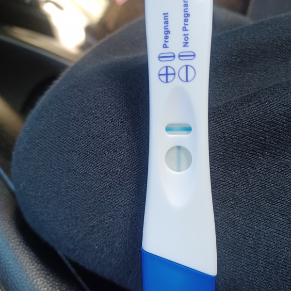 Home Pregnancy Test