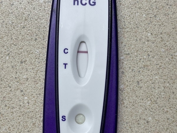 Home Pregnancy Test
