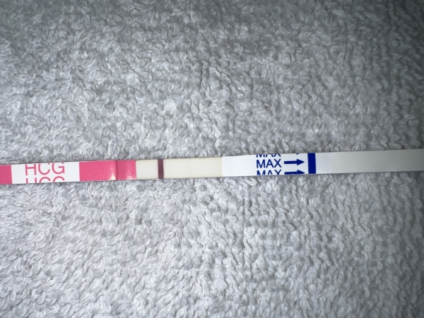 Clinical Guard Pregnancy Test