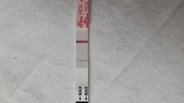 Home Pregnancy Test