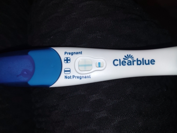 Home Pregnancy Test