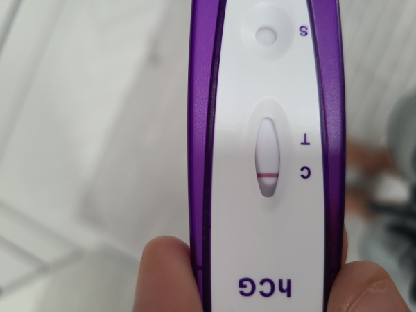 Home Pregnancy Test