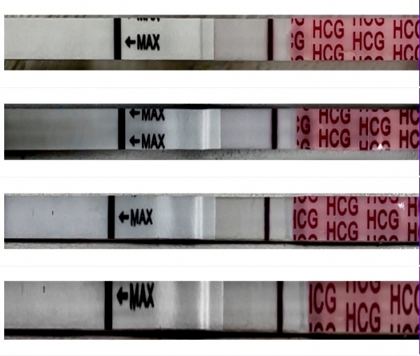 Wondfo Test Strips Pregnancy Test, FMU, Cycle Day 45
