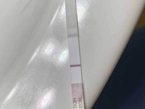 First Response Rapid Pregnancy Test