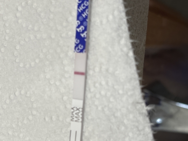 Home Pregnancy Test