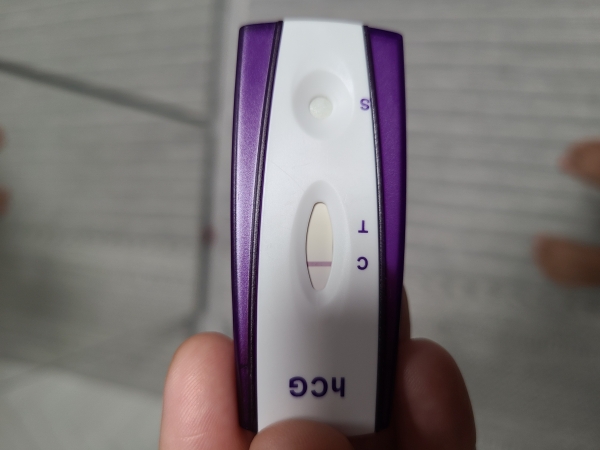 Home Pregnancy Test