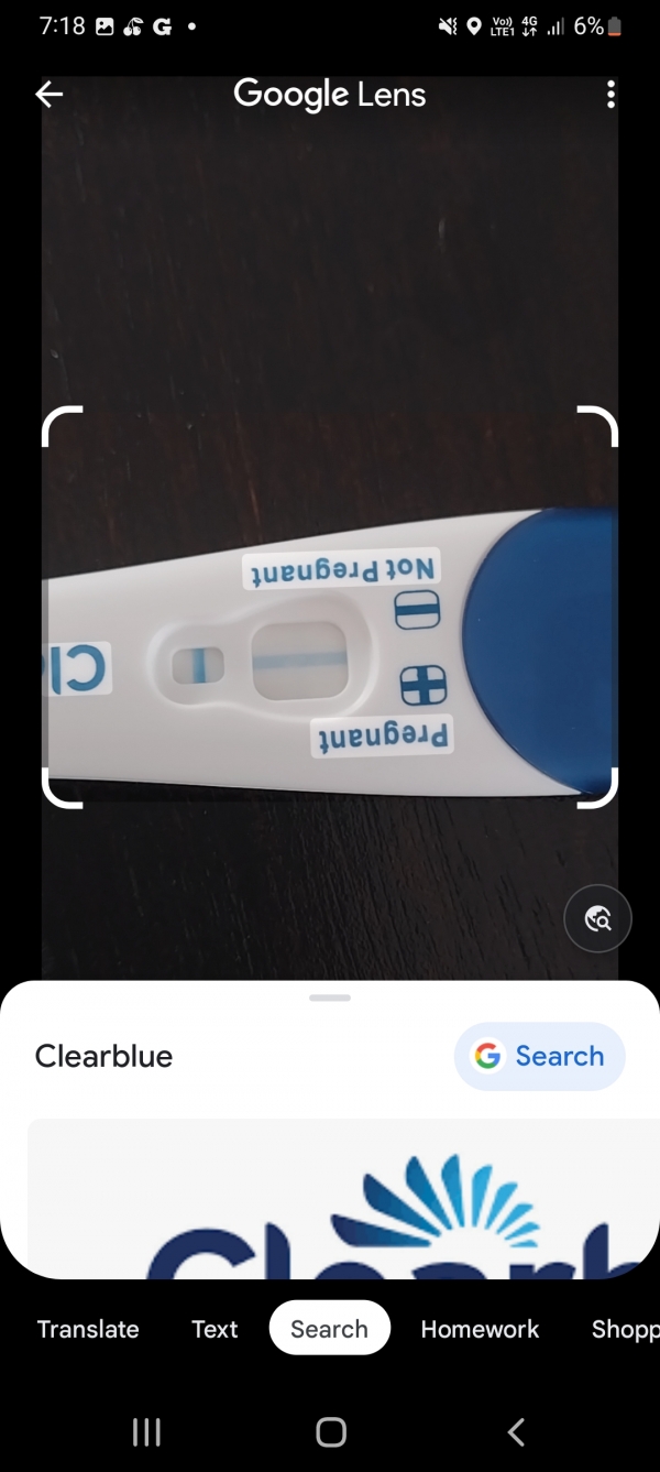 Home Pregnancy Test