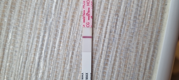 Home Pregnancy Test