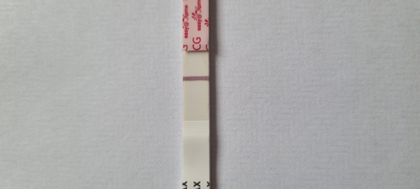 Home Pregnancy Test