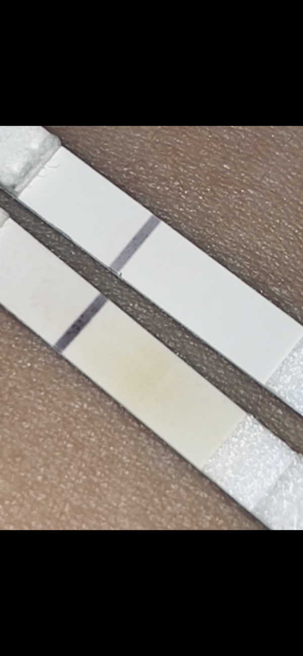 New Choice Pregnancy Test, 10 Days Post Ovulation