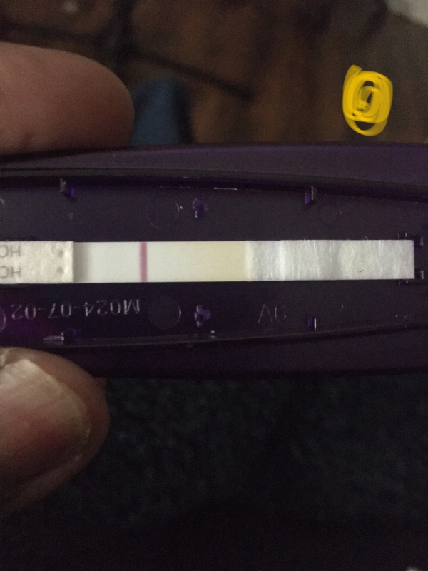Home Pregnancy Test
