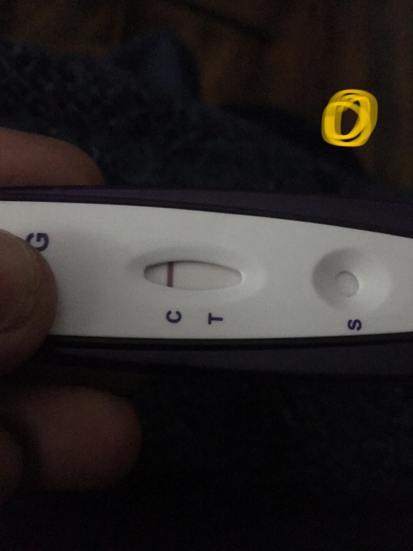 Home Pregnancy Test