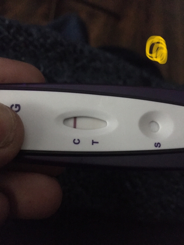 Home Pregnancy Test