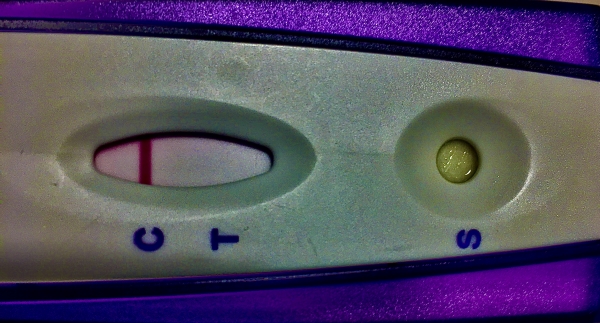 Home Pregnancy Test