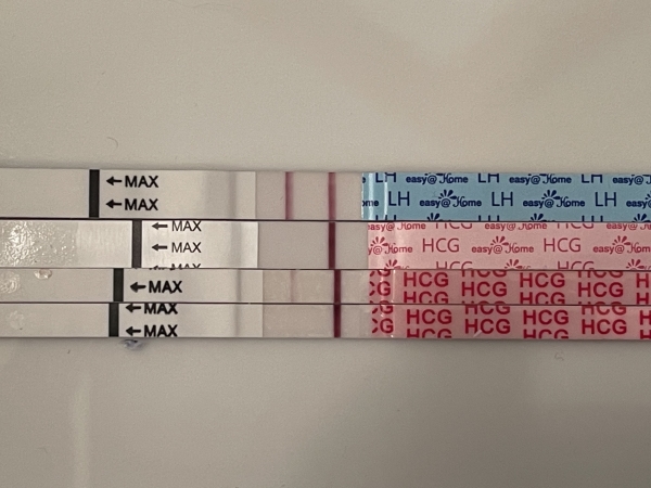 Wondfo Test Strips Pregnancy Test, 14 Days Post Ovulation