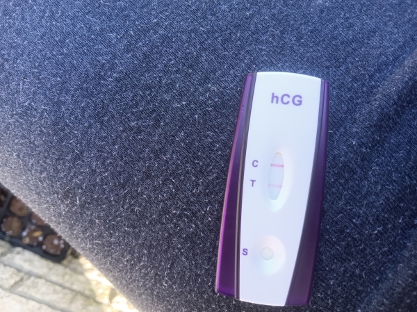 New Choice Pregnancy Test, Cycle Day 37