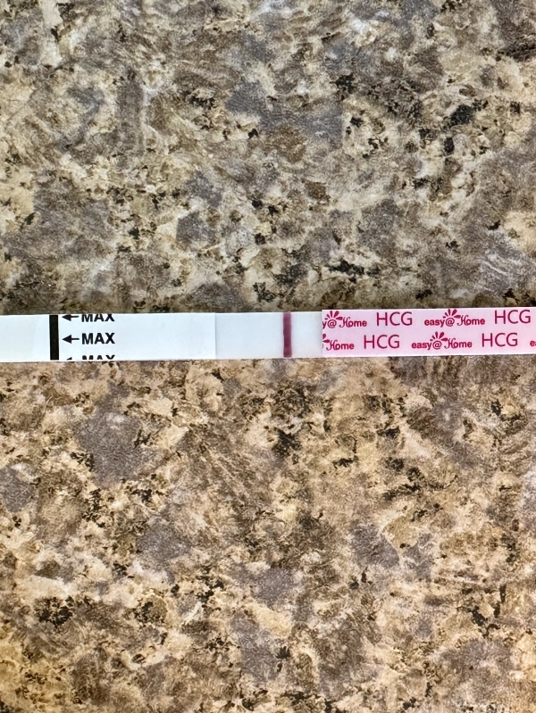 Easy-At-Home Pregnancy Test