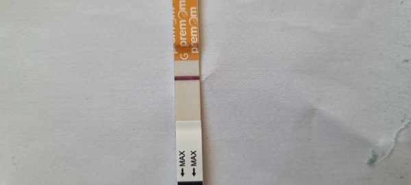 Home Pregnancy Test