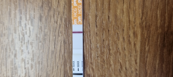 Home Pregnancy Test