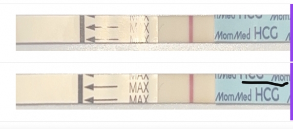 Home Pregnancy Test