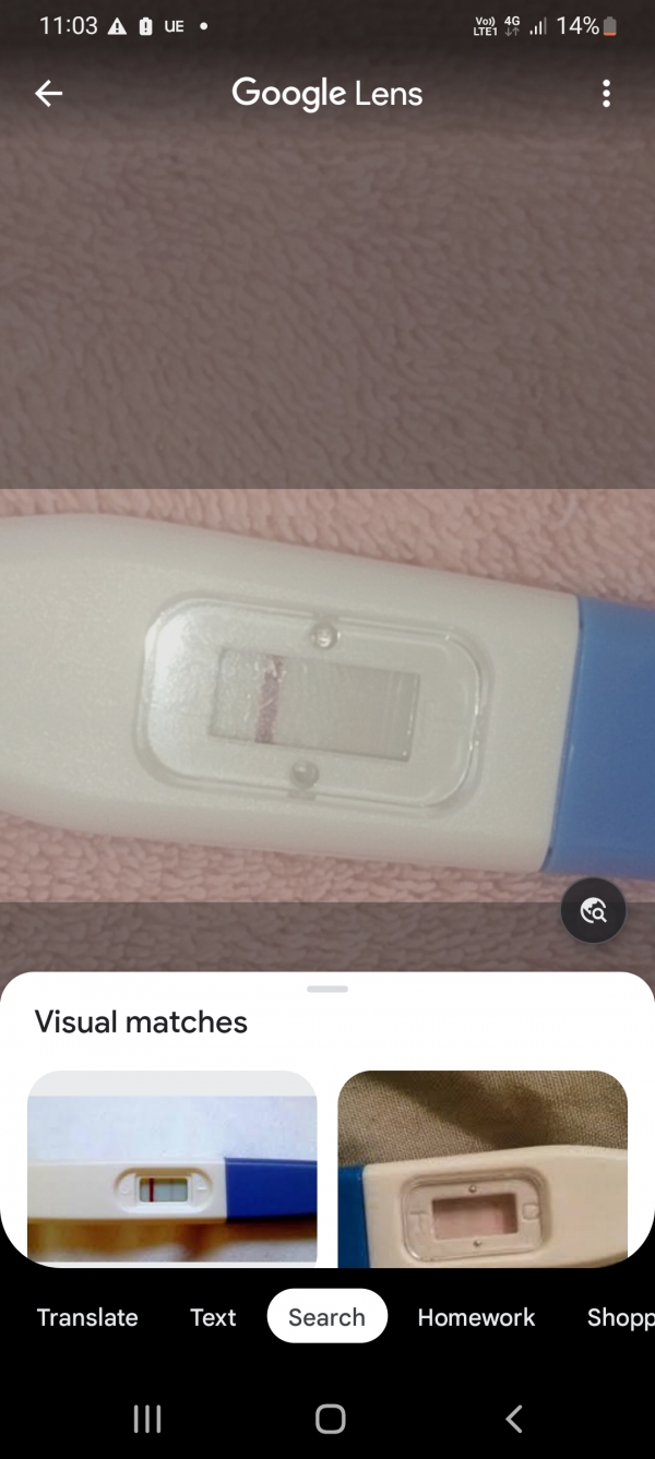 Home Pregnancy Test