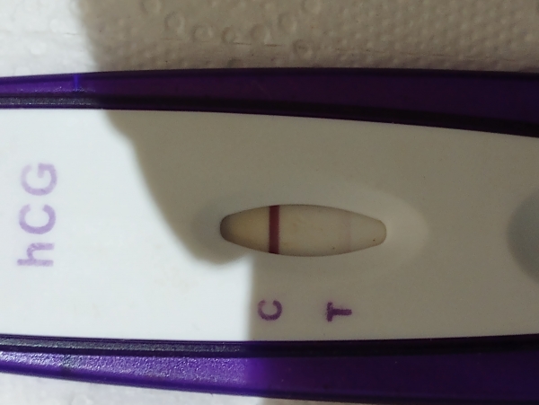 Equate One Step Pregnancy Test, 6 Days Post Ovulation, Cycle Day 29