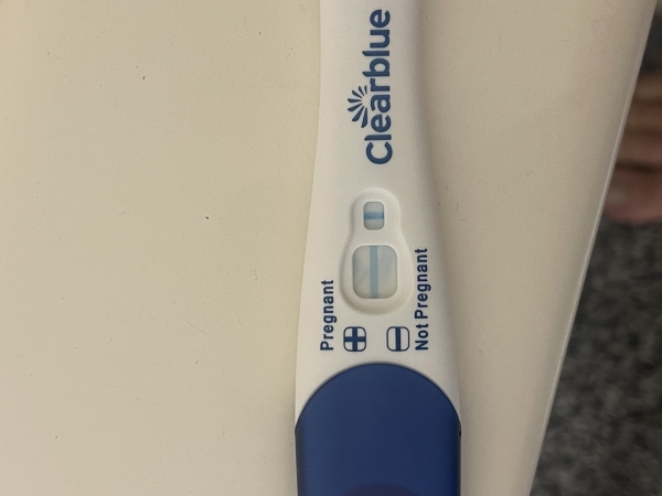 Home Pregnancy Test