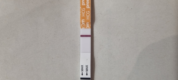Home Pregnancy Test