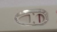 First Response Early Pregnancy Test, Cycle Day 24