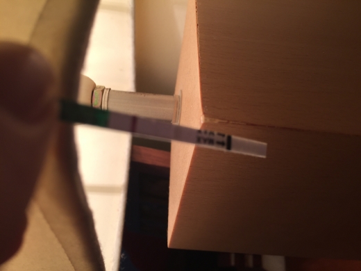 CVS One Step Pregnancy Test, 12 Days Post Ovulation, FMU, Cycle Day 32