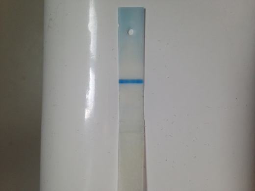 e.p.t. Pregnancy Test, 8 Days Post Ovulation