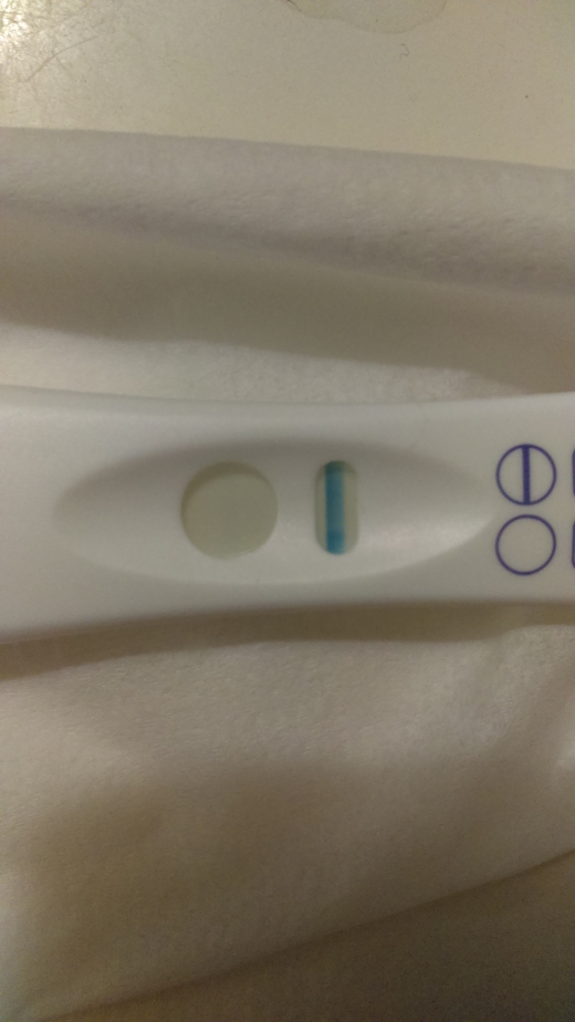 Home Pregnancy Test