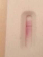 U-Check Pregnancy Test