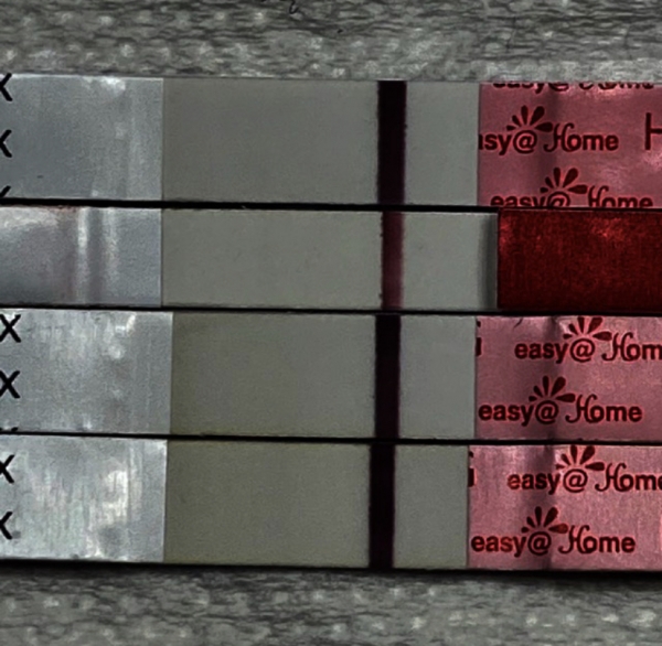 Easy-At-Home Pregnancy Test