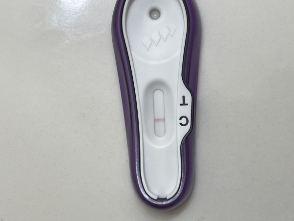 Home Pregnancy Test