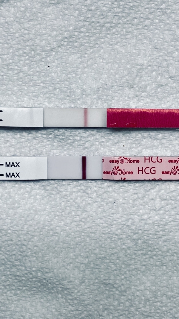 Home Pregnancy Test