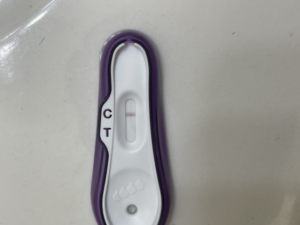Home Pregnancy Test