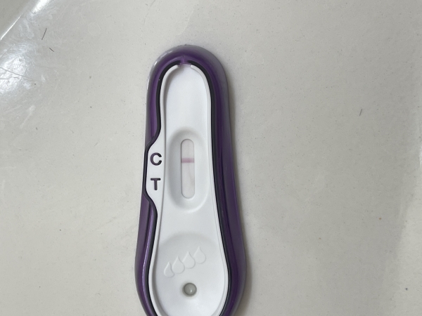 Home Pregnancy Test