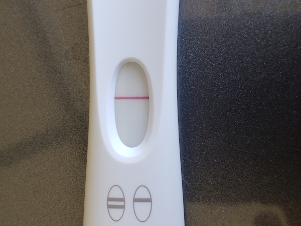 Home Pregnancy Test