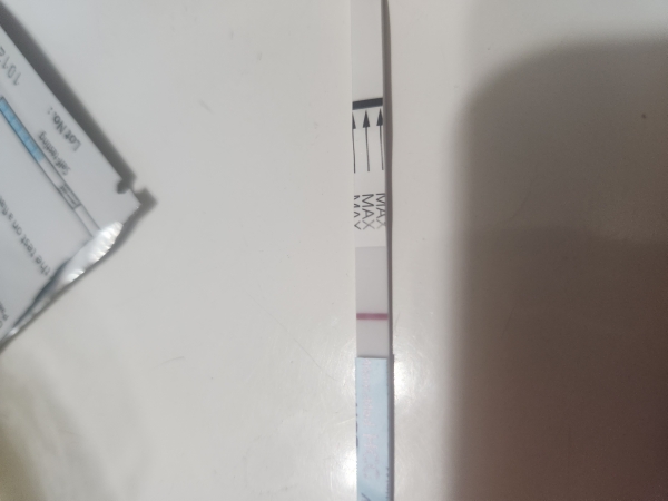 Home Pregnancy Test