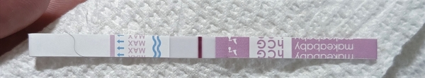 Home Pregnancy Test