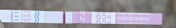 Home Pregnancy Test